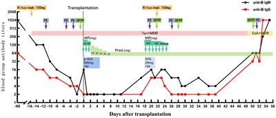 ABO-incompatible living donor kidney transplantation failure due to acute blood group antibody-dependent rejection triggered by human parvovirus B19 infection: a case report and literature review